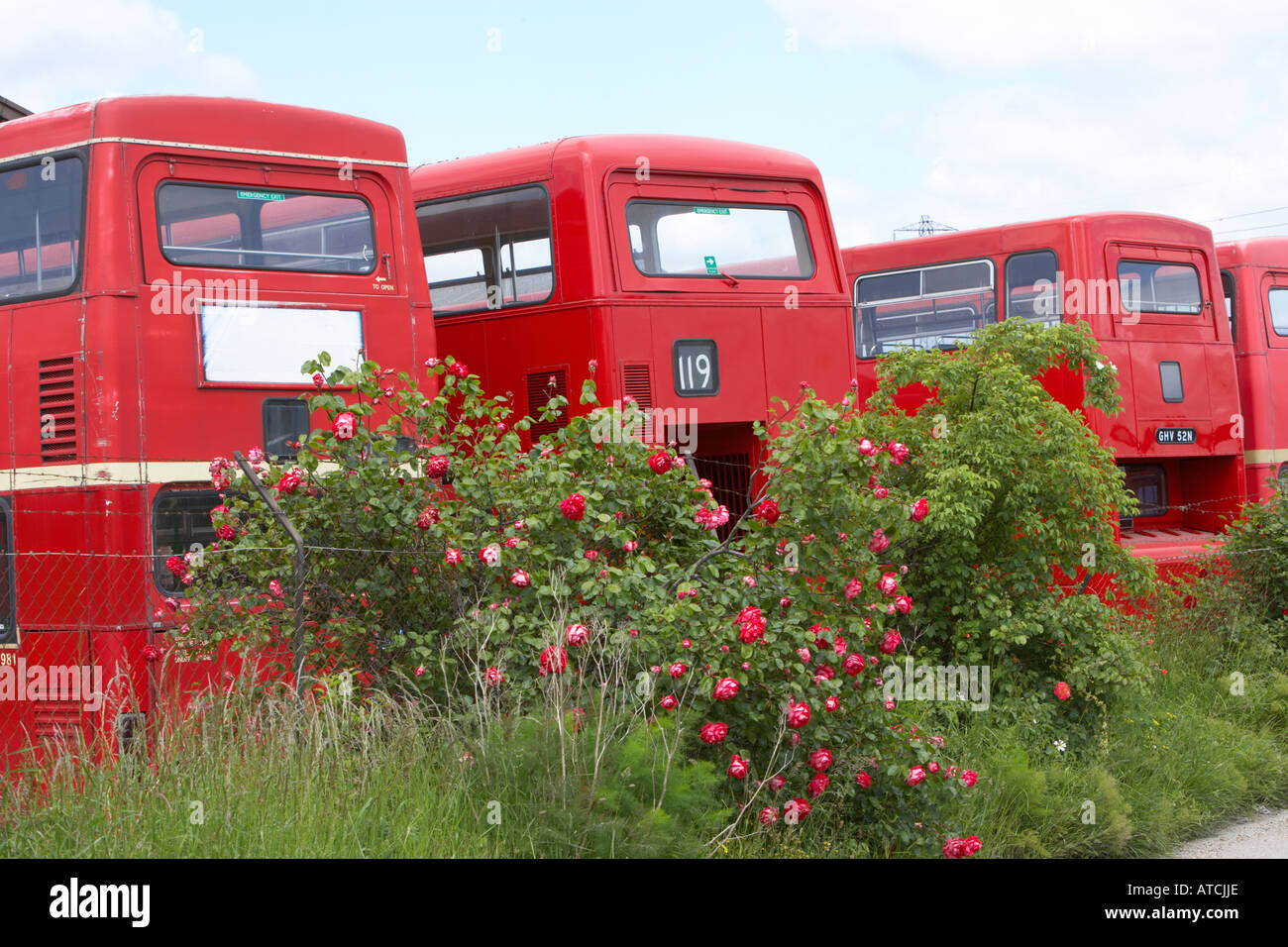 London routemaster double decker buses retired from service Stock Photo