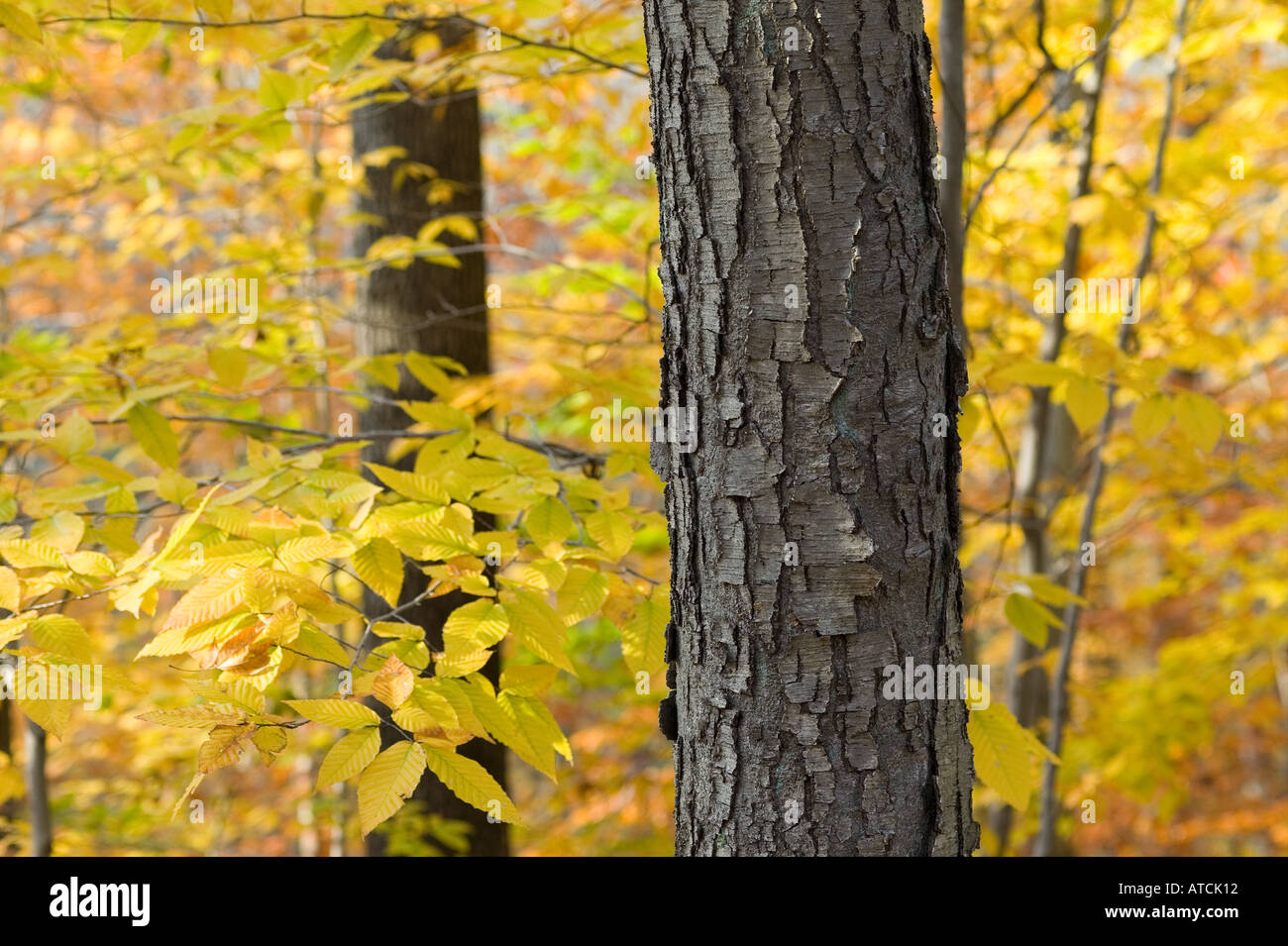 New england scenery cycle hi-res stock photography and images - Alamy