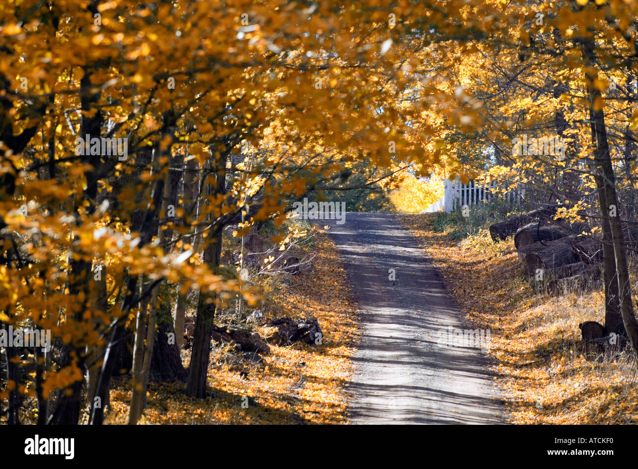 New england scenic hi-res stock photography and images - Alamy