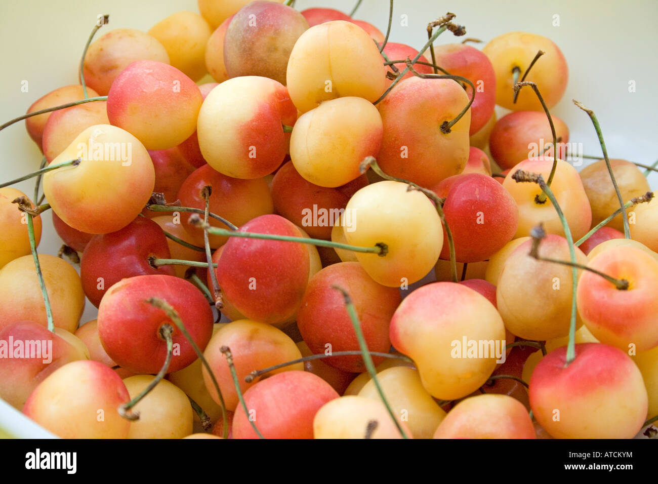Queen anne cherry hires stock photography and images Alamy