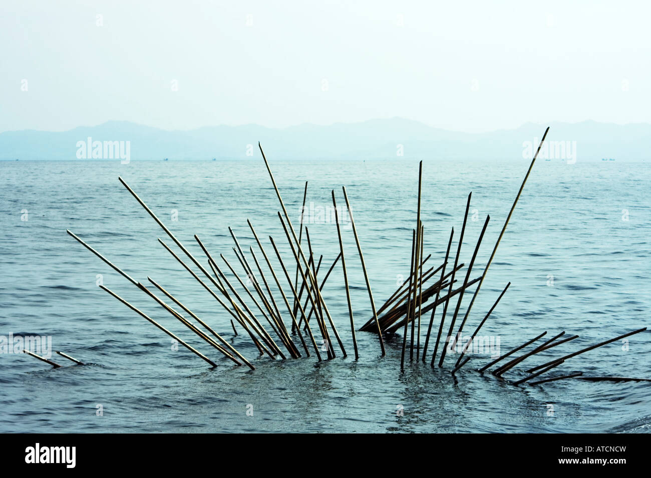 Floating bamboo bouy to mark fish traps in the Andaman sea, Thailand. February 5, 2008 Stock Photo