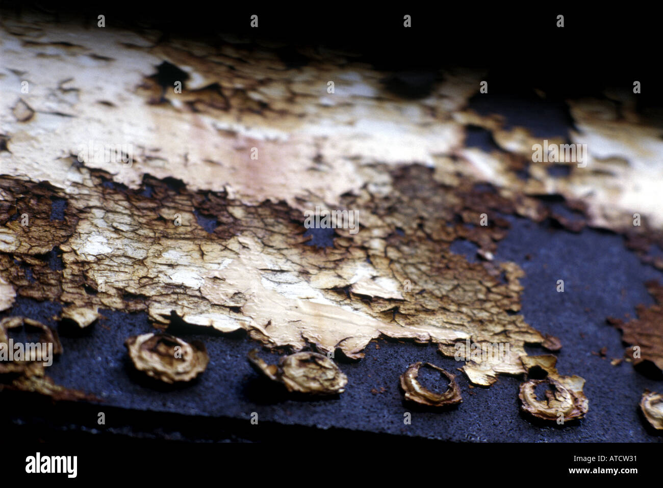 paint peeling off metal Stock Photo Alamy