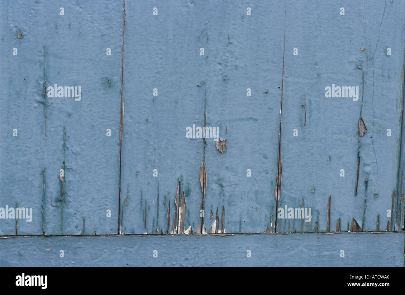 paint peeling off wood Stock Photo Alamy