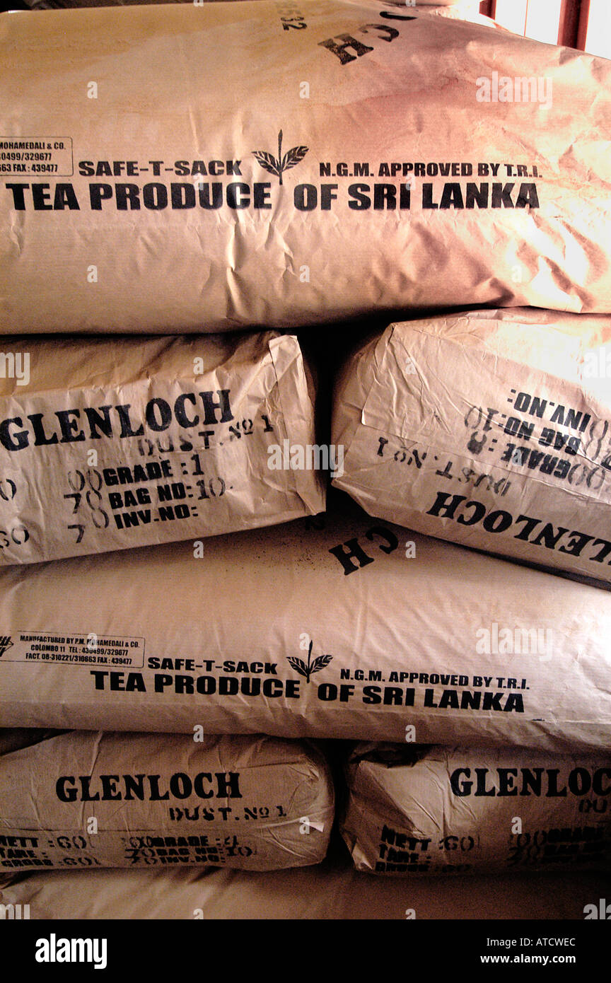 ELLA SRI LANKAN TEAFACTORY TEA PEOPLE FACTORY Stock Photo Alamy