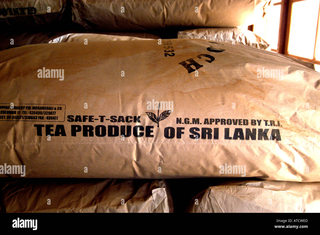 ELLA SRI LANKAN TEAFACTORY TEA PEOPLE FACTORY Stock Photo Alamy