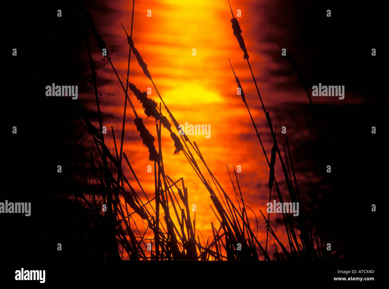 Sunset at Cobbosseecontee Lake, Maine, USA Stock Photo Alamy