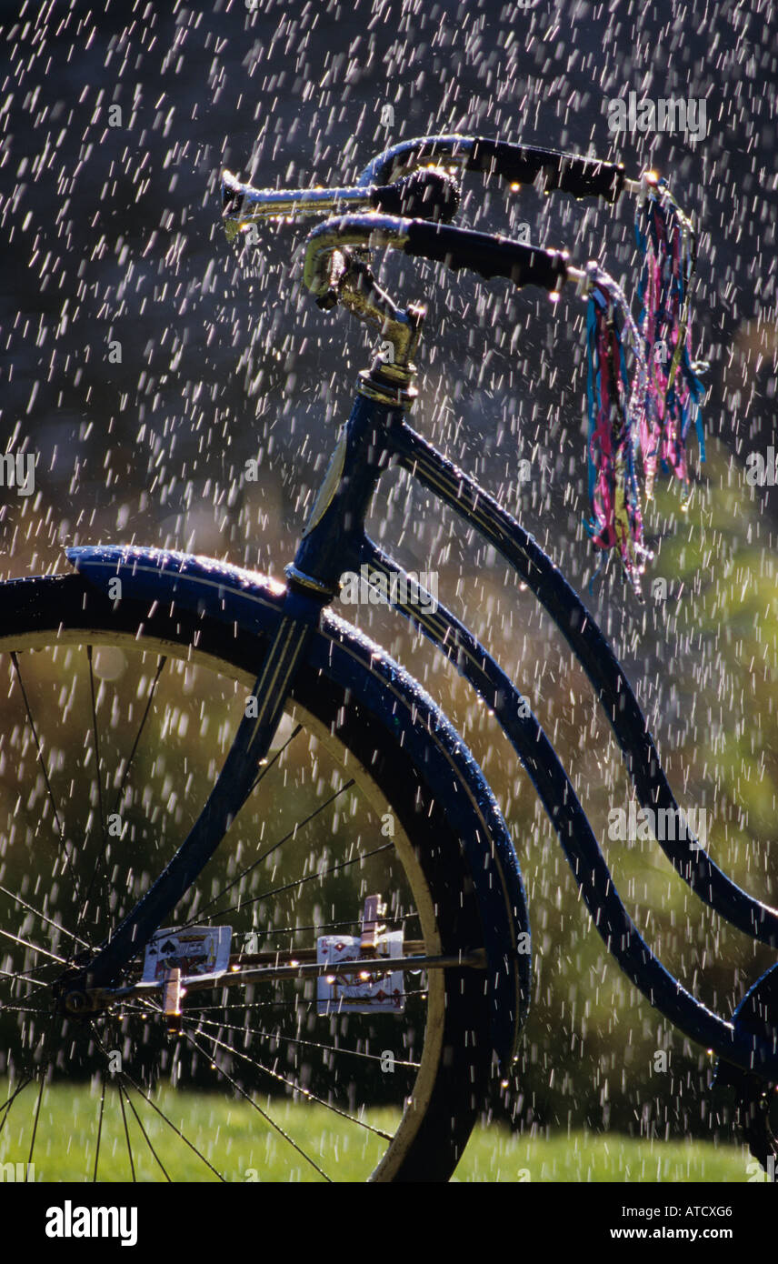 'Schwinn bike'  nostalgic bike Stock Photo