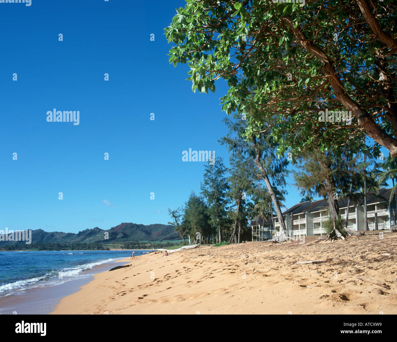 Kapaa Kauai High Resolution Stock Photography and Images - Alamy