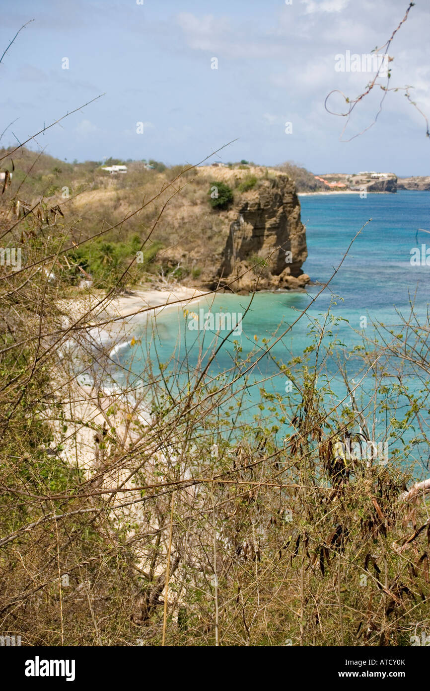Grenada caribbean island coast water ocean sea Caribbean sea sand beach idyllic travel scenic landscape Stock Photo