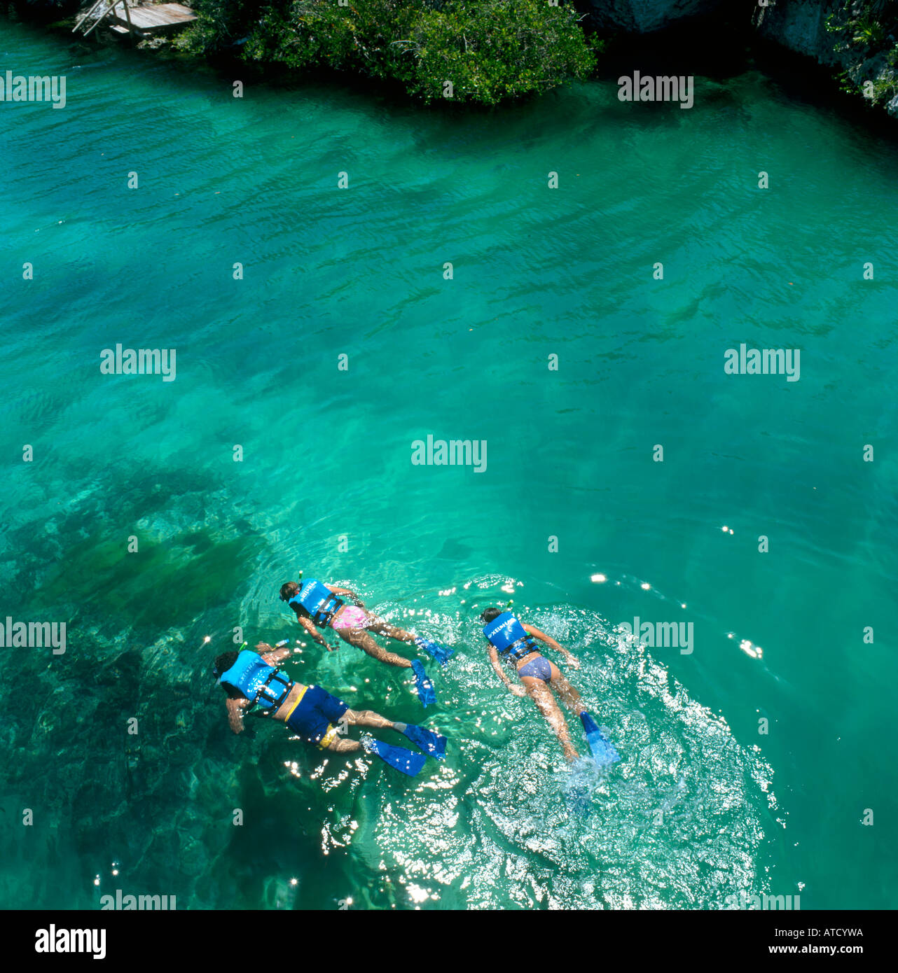 Snorkelling at Xel Ha, near Cancun, Quintana Roo, Yucatan Peninsula, Mexico Stock Photo