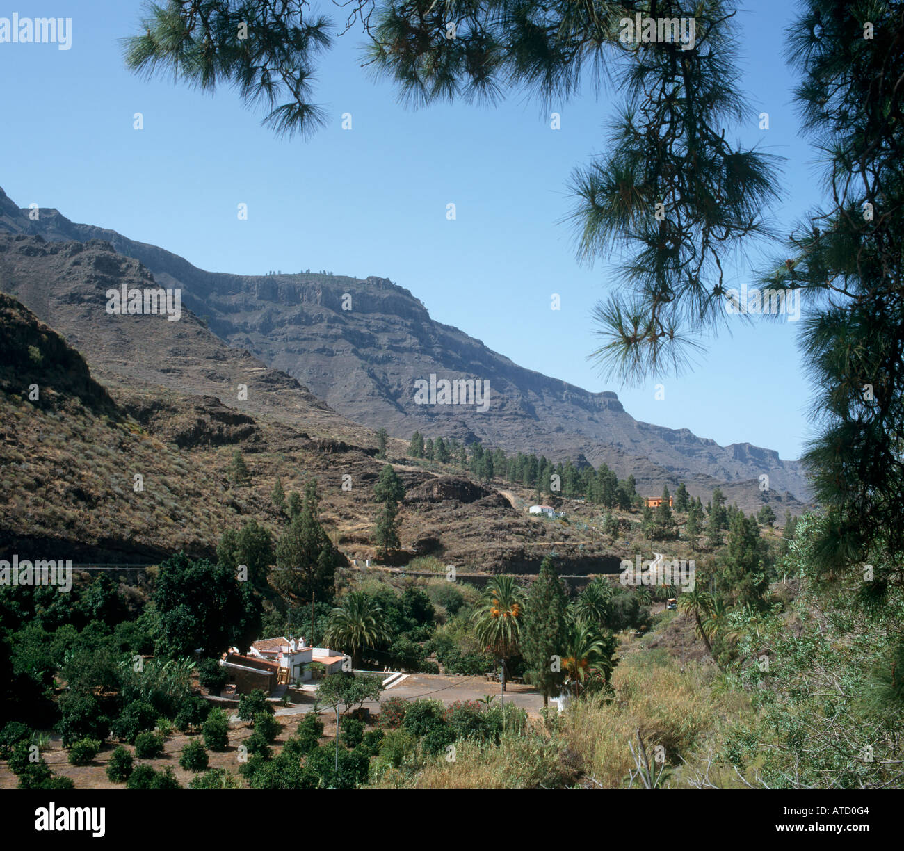 Inland in the south of the island, Gran Canaria, Canary Islands, Spain Stock Photo