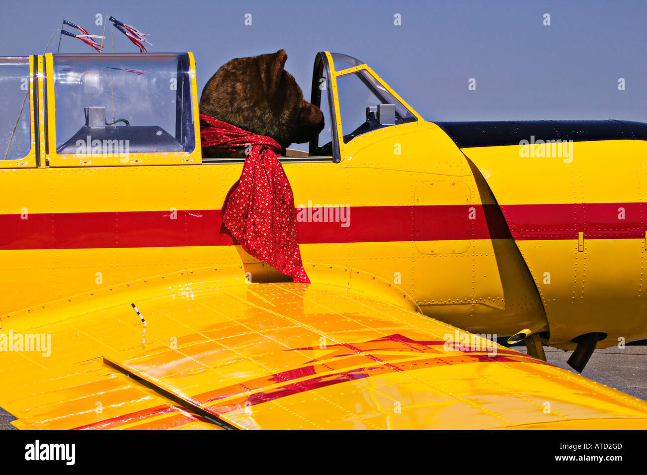 Large teddy bear sitting in plane cockpit Stock Photo