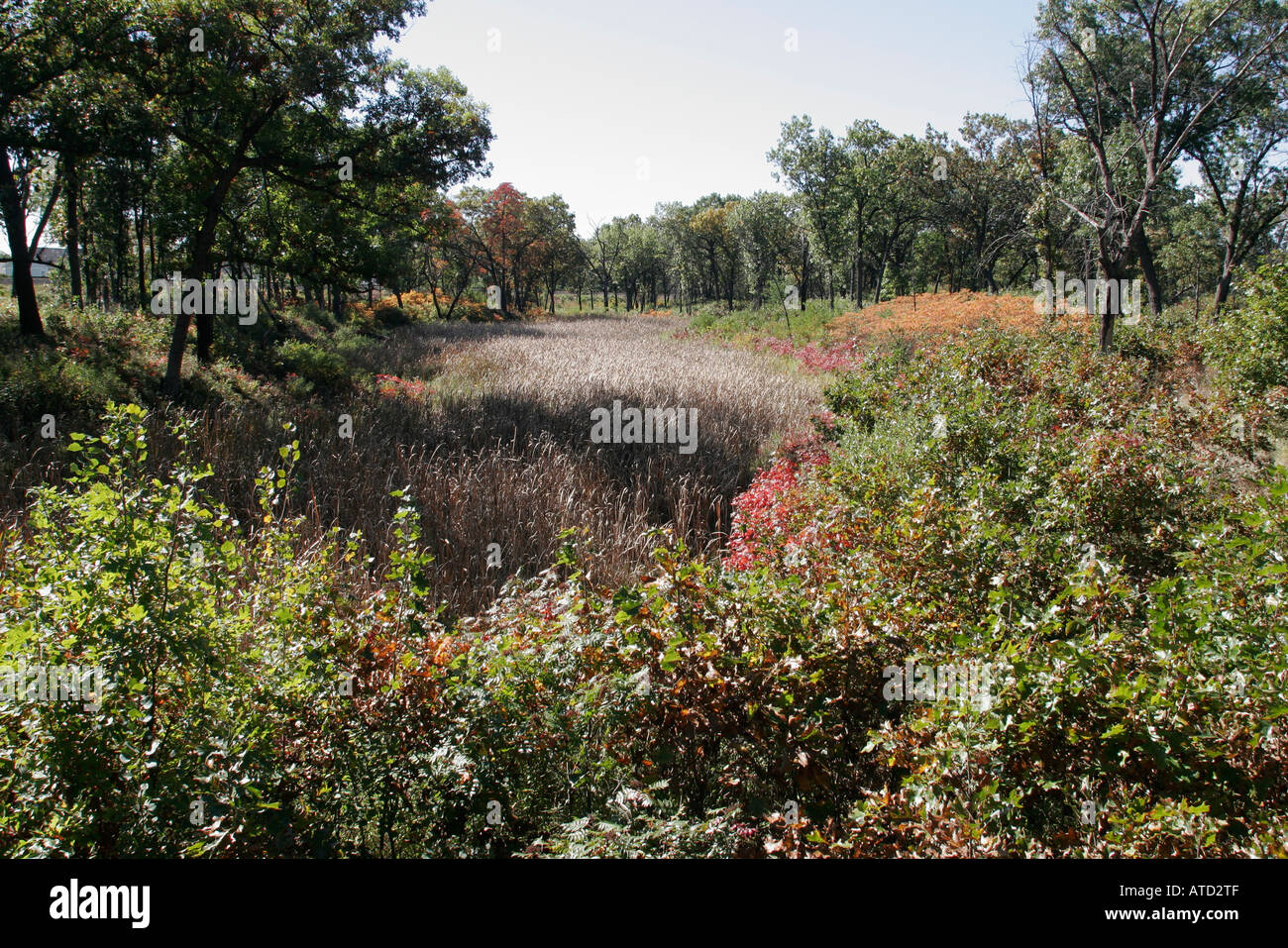 Indiana Lake County,Gary,Indiana Dunes National Lakeshore,Miller Woods
