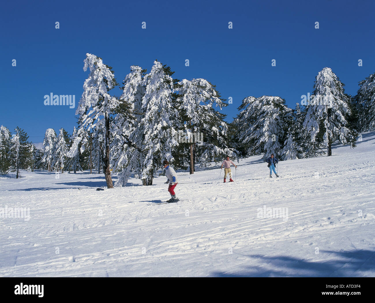 snow skiing at Troodos mountain Cyprus Stock Photo