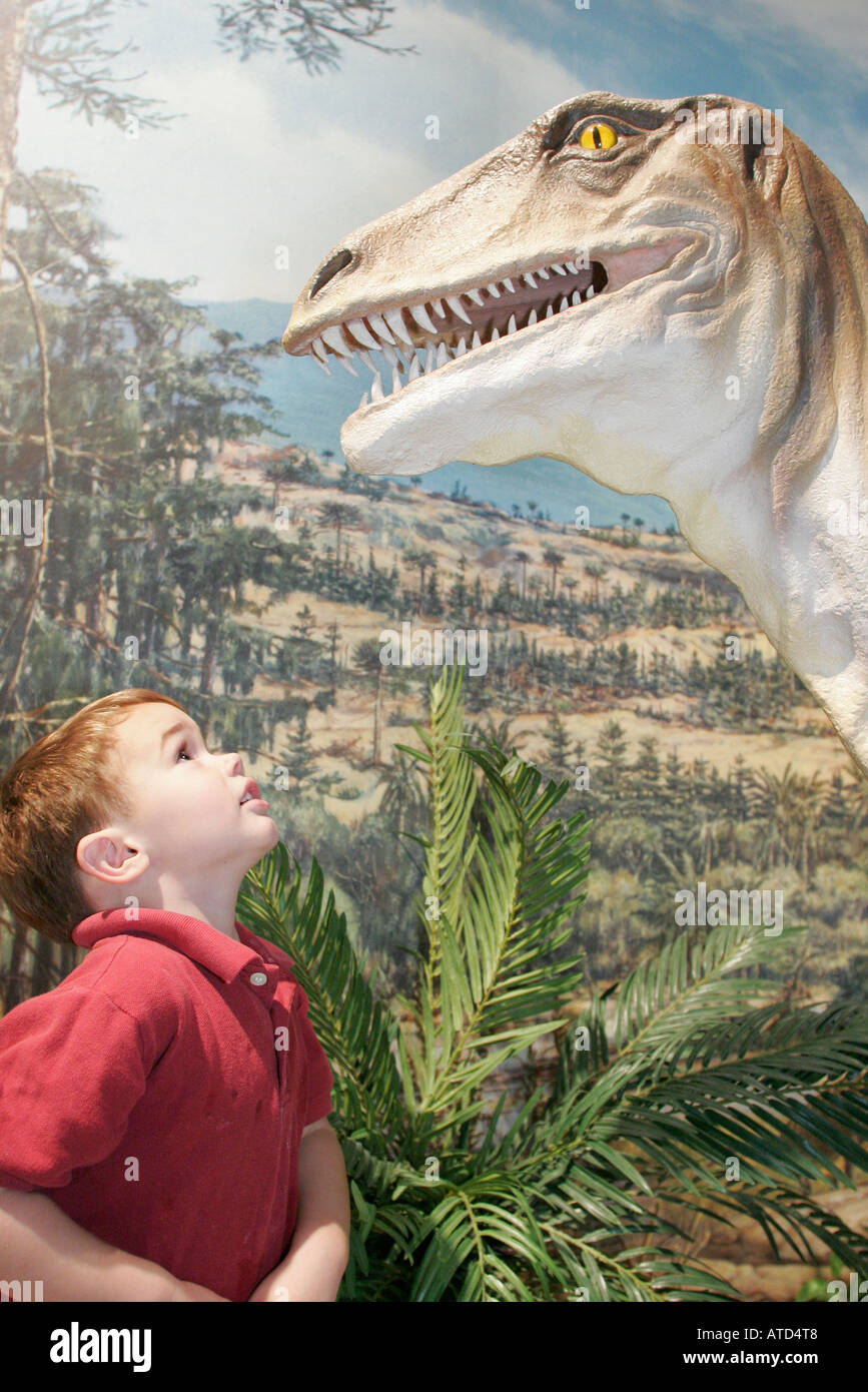 Boy boys male kids children dinosaur hires stock photography and