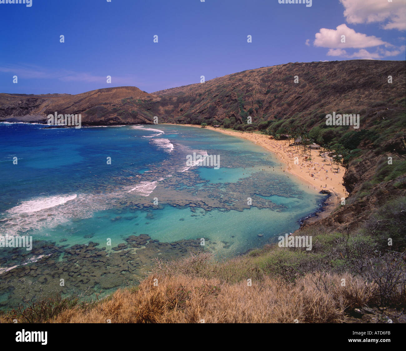 Hanauma bay on island oahu hi-res stock photography and images - Alamy