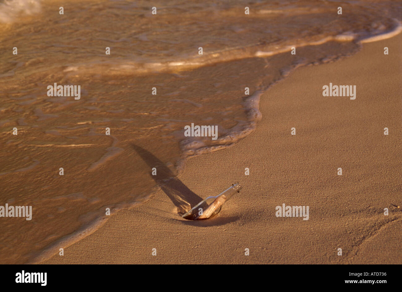A message in a bottle lodged in the sand Stock Photo