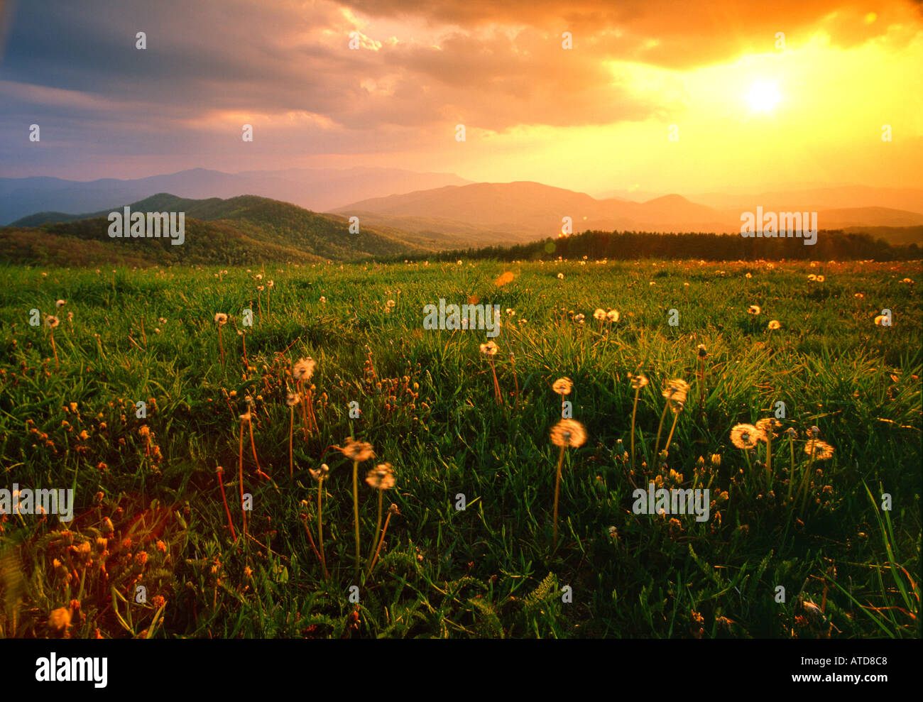 Pisgah National Forest NC Sun Breaking Through Clouds Stock Photo