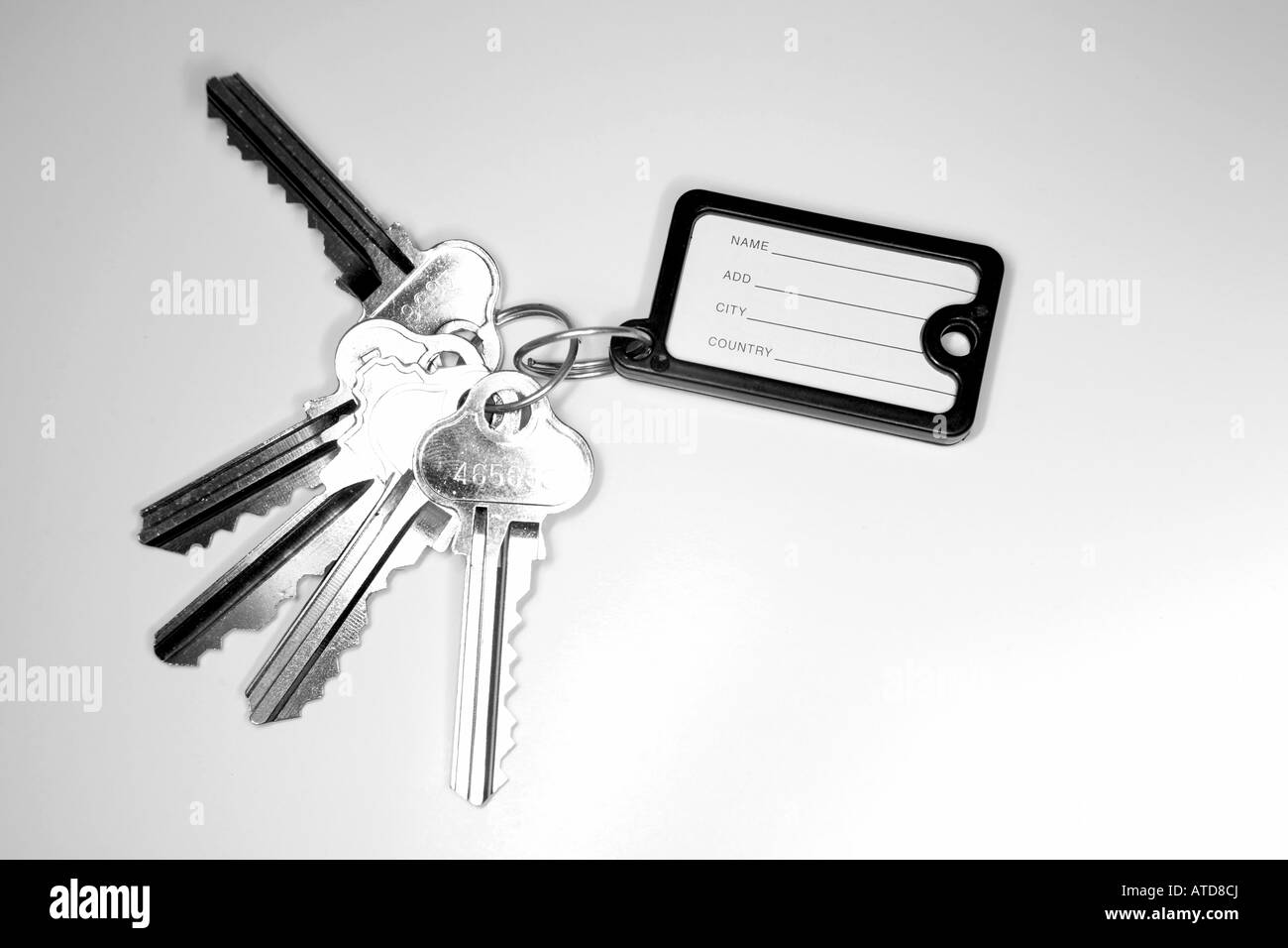 Keys on keyring Stock Photo Alamy