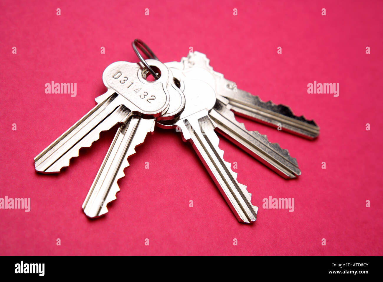 Keys on keyring Stock Photo Alamy