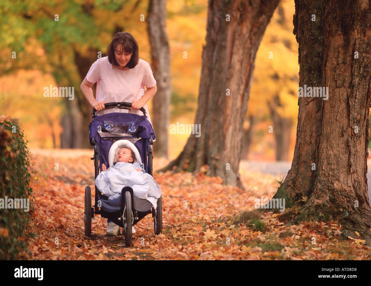 A young mother walks her infant in a stroller in the fall Stock Photo