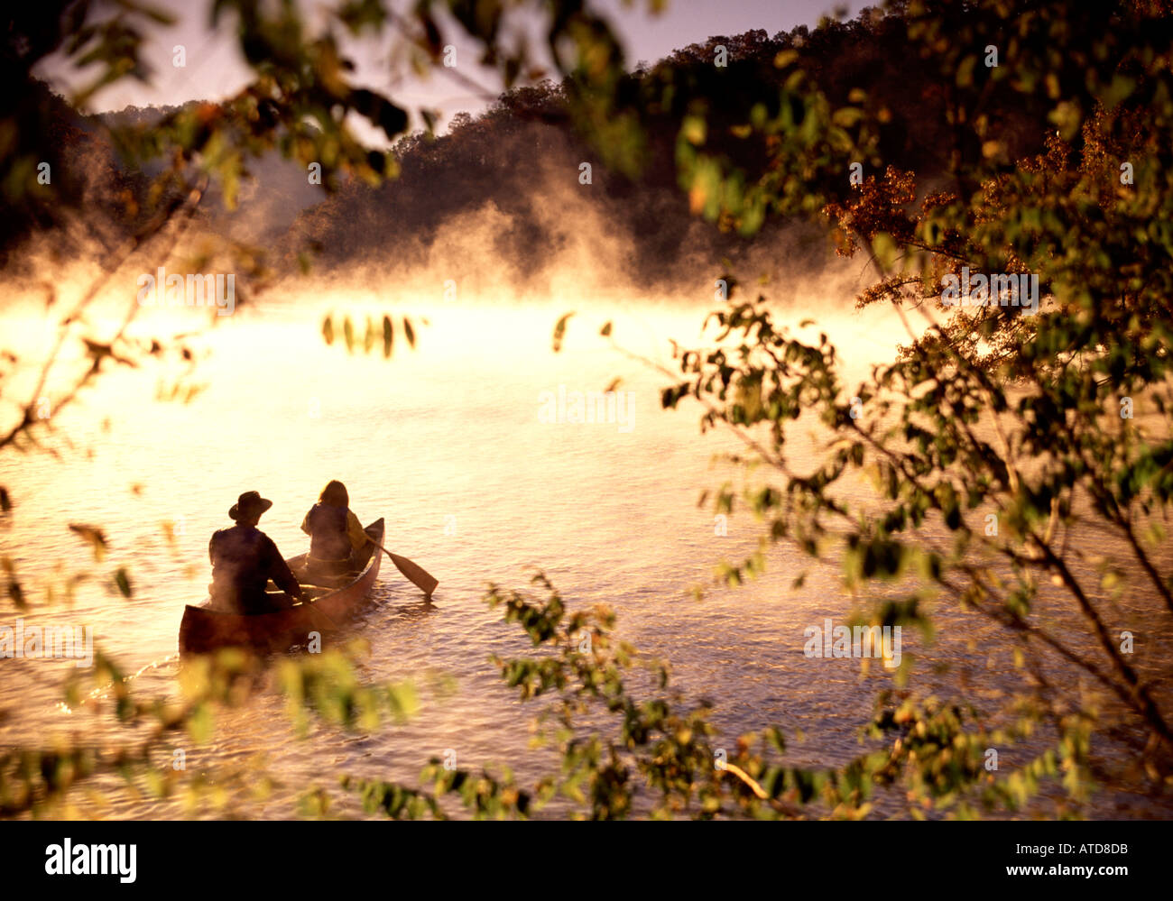 Canoeing Bear Rock Lake North Carolina In The Morning Fog Stock Photo