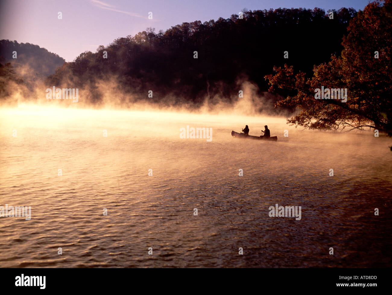 Canoeing Bear Lake North Carolina In The Morning Fog Stock Photo