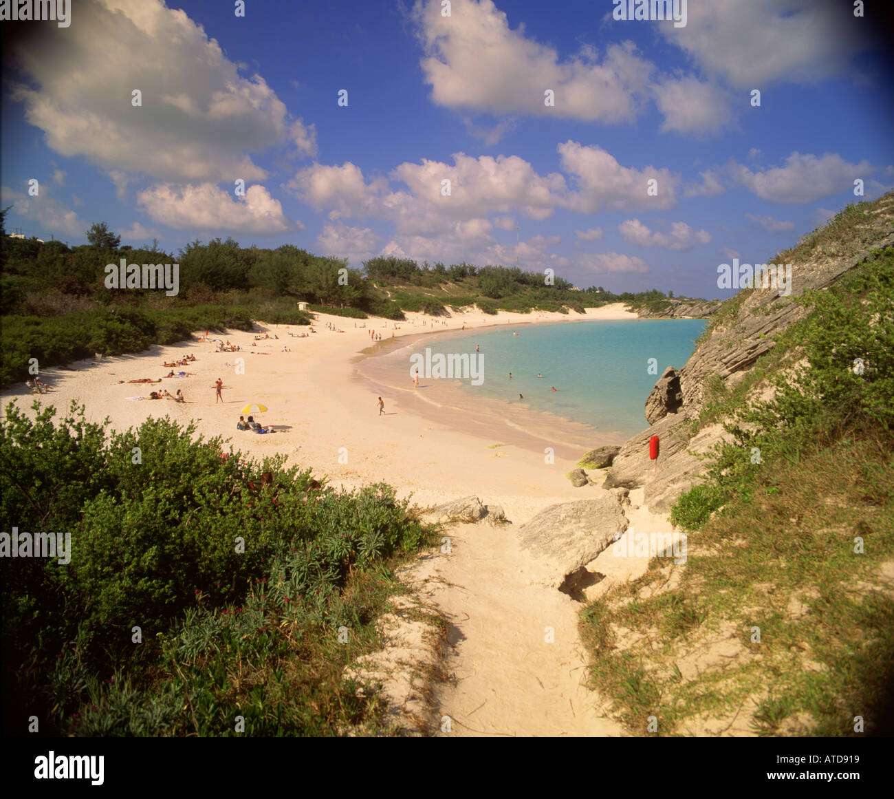 Horseshoe Bay beach in Bermuda Stock Photo Alamy