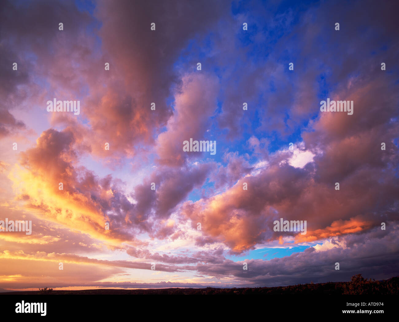 Sunset clouds with shades of yellow pink and orange streak across a vast blue sky Stock Photo