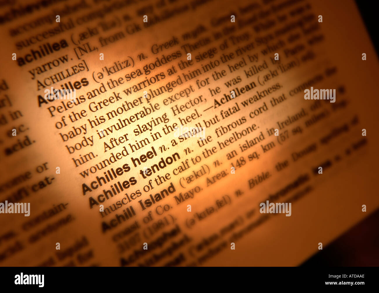 Achilles heel hires stock photography and images Alamy