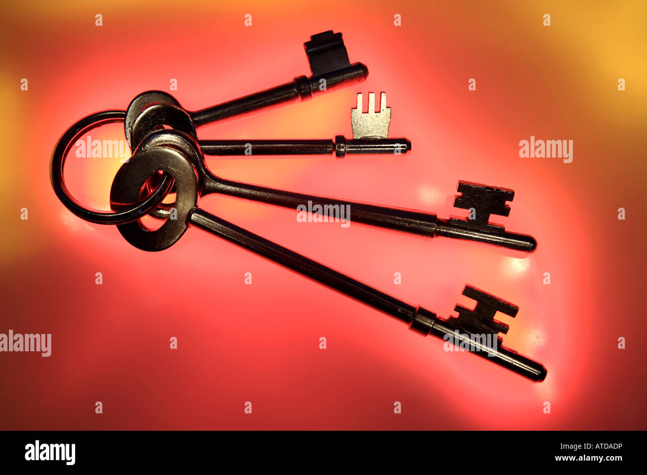 Keys on keyring Stock Photo Alamy