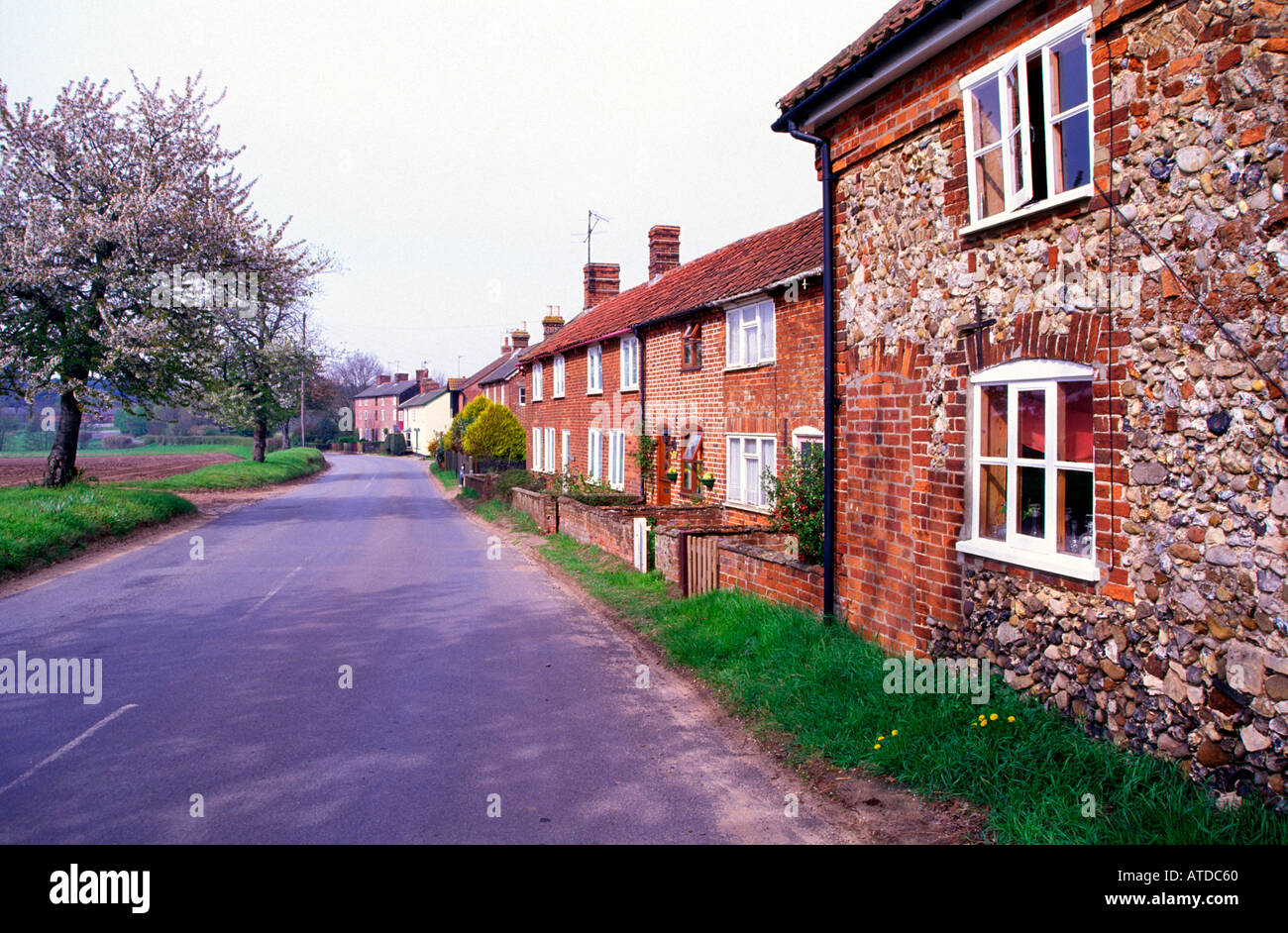 Village houses Butley Suffolk England Stock Photo