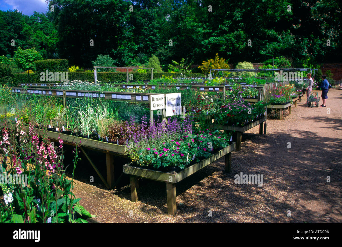 The Walled Garden Benhall Suffolk Stock Photo Alamy