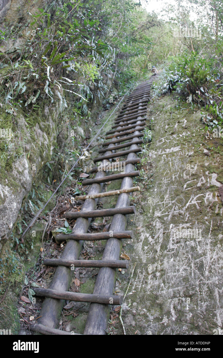 A ladder is required to climb up the Putukusi Mountain trail near Aguas Calientes, Peru Stock Photo