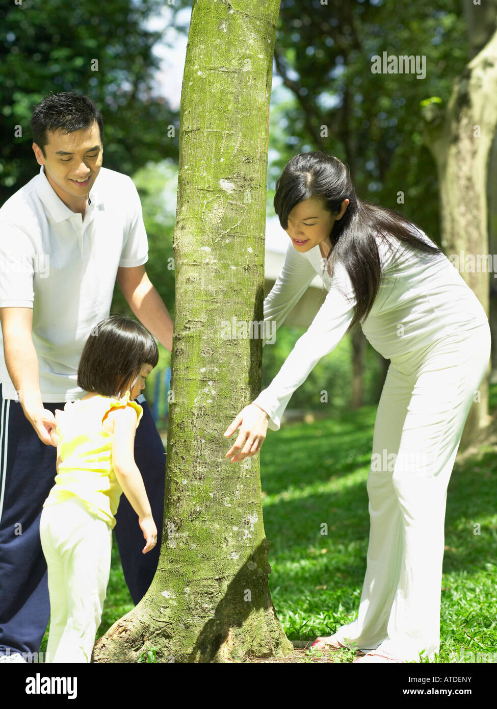 family making circle around the tree Stock Photo Alamy