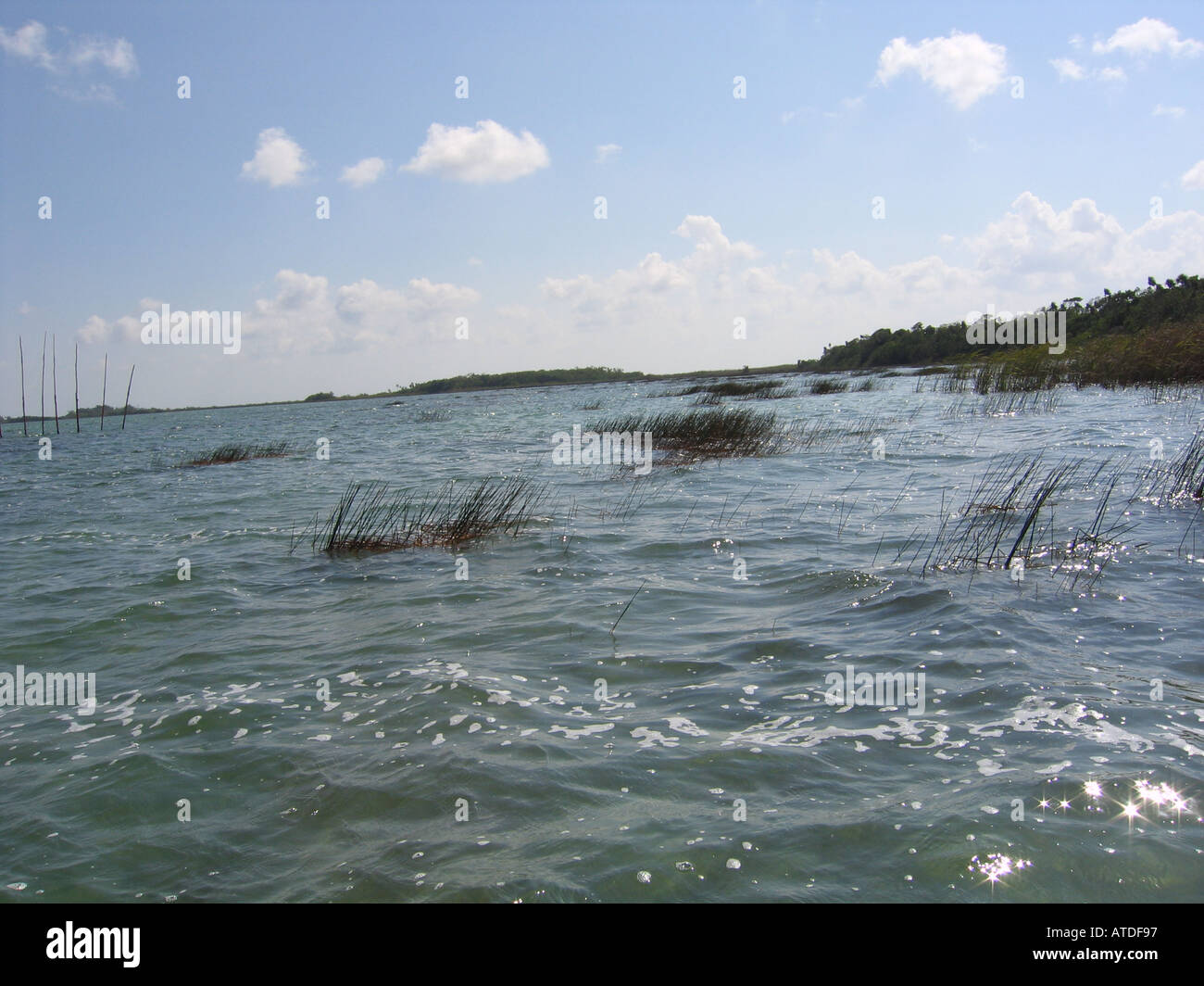 freshwater lake sian kaan nature reserve quintana roo yucatan peninsula mexico Stock Photo