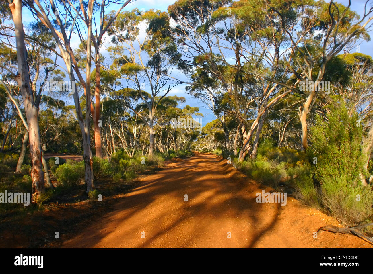 Bushland along path australia hi-res stock photography and images - Alamy