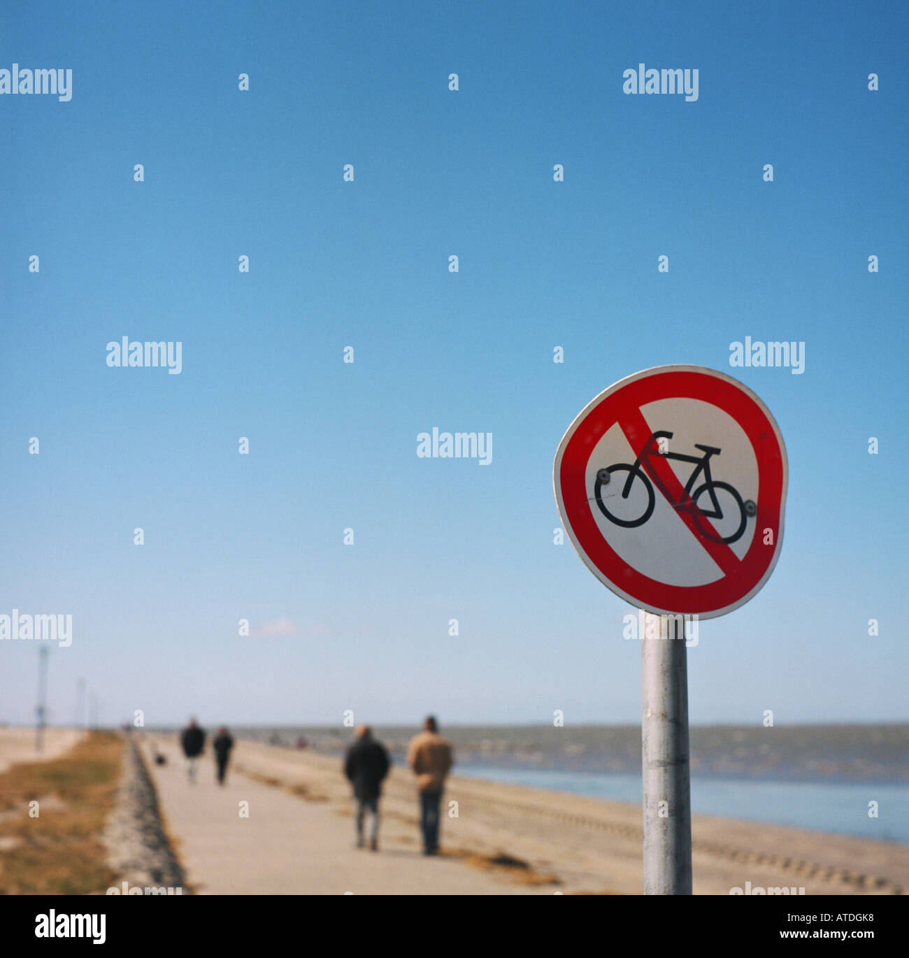 forbidden bikes long travel