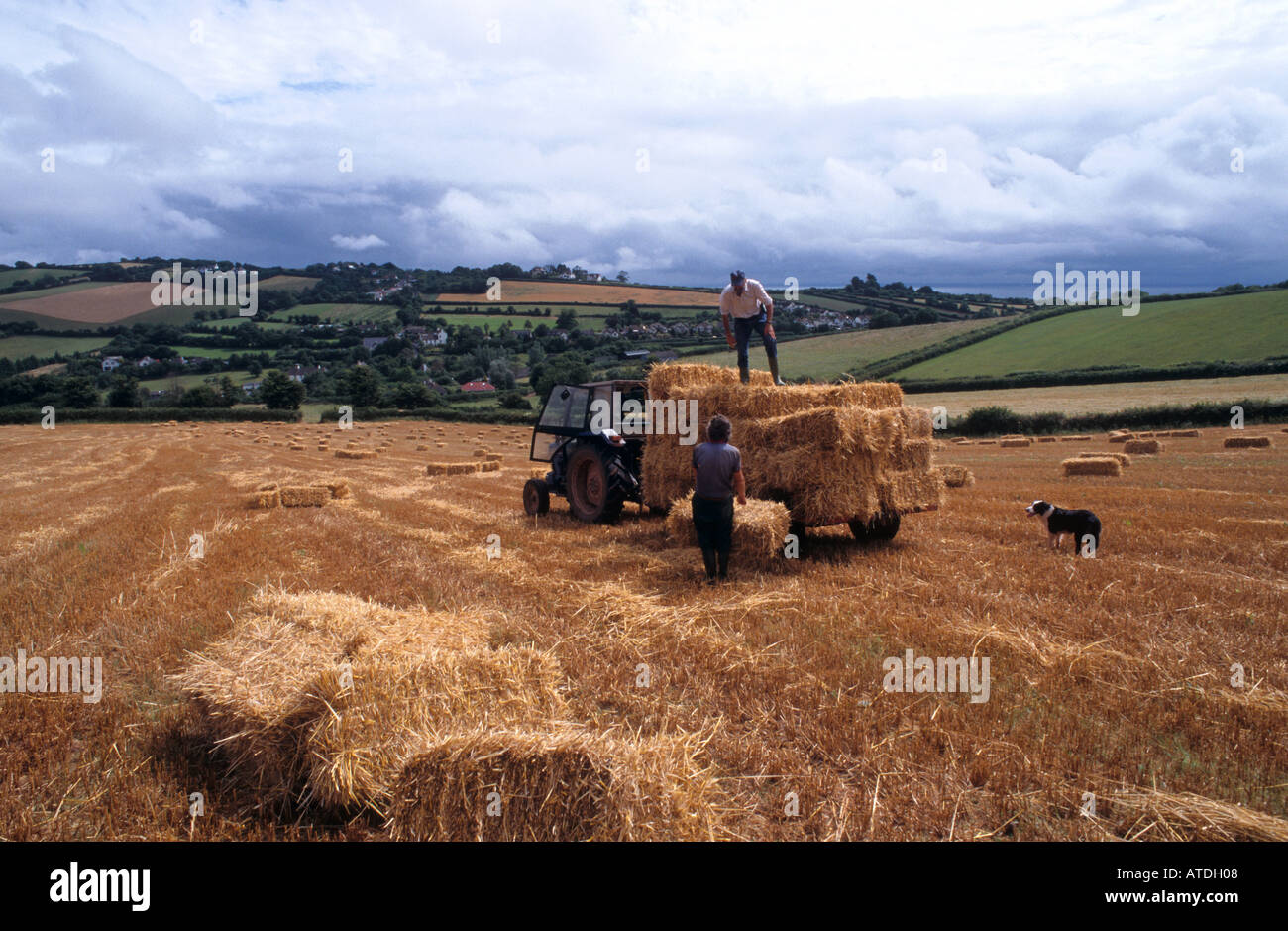 English Farmers and Traditional Square Hay Bales. Devon. England Stock