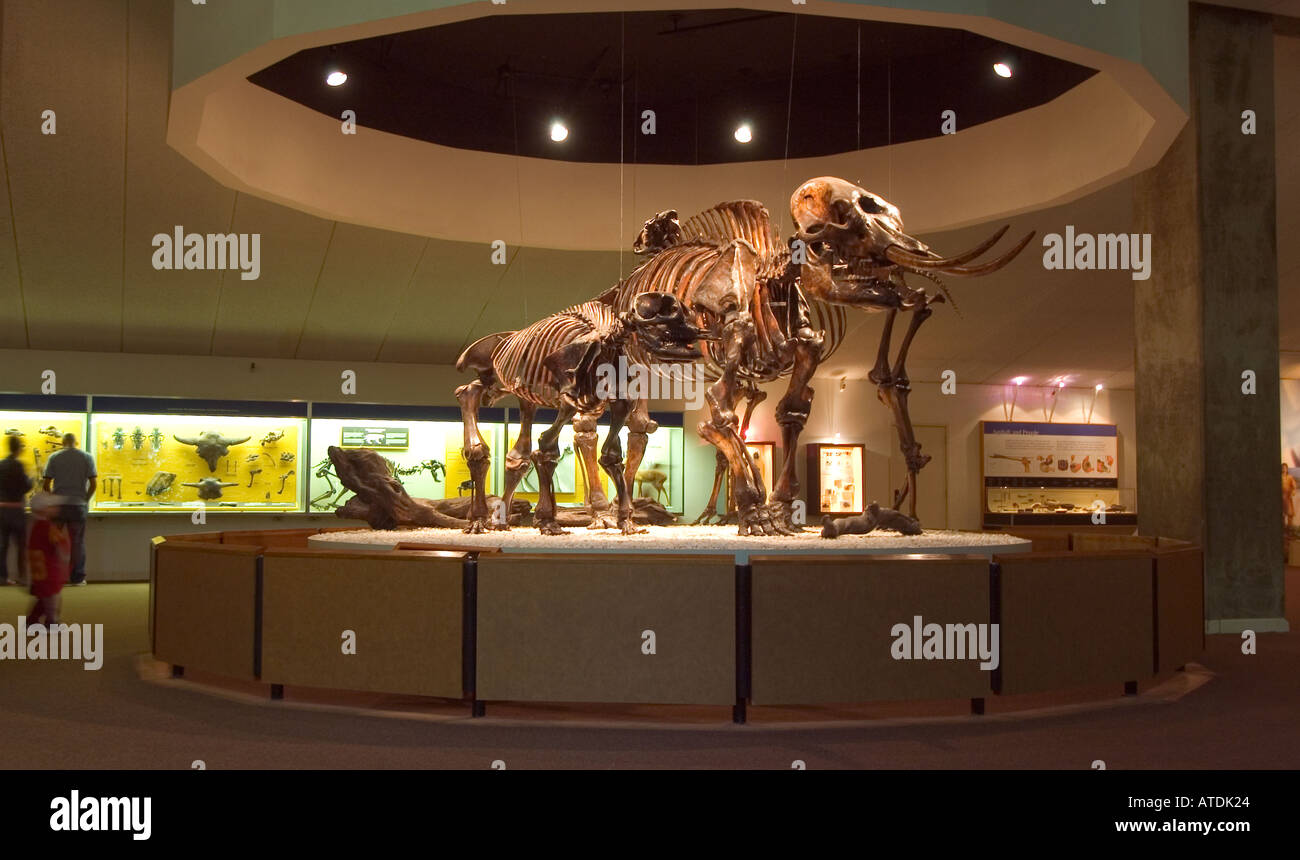 Page Museum La Brea Tar Pits Los Angeles California Stock Photo Alamy