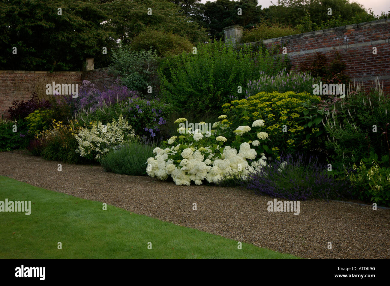 Herbaceous long flower border featuring hydrangea Annabelle Stock Photo