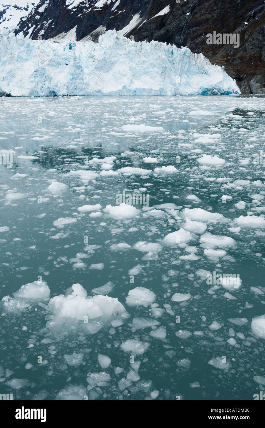 Chunks of glacial ice in water at Harvard Glacier on Prince William ...