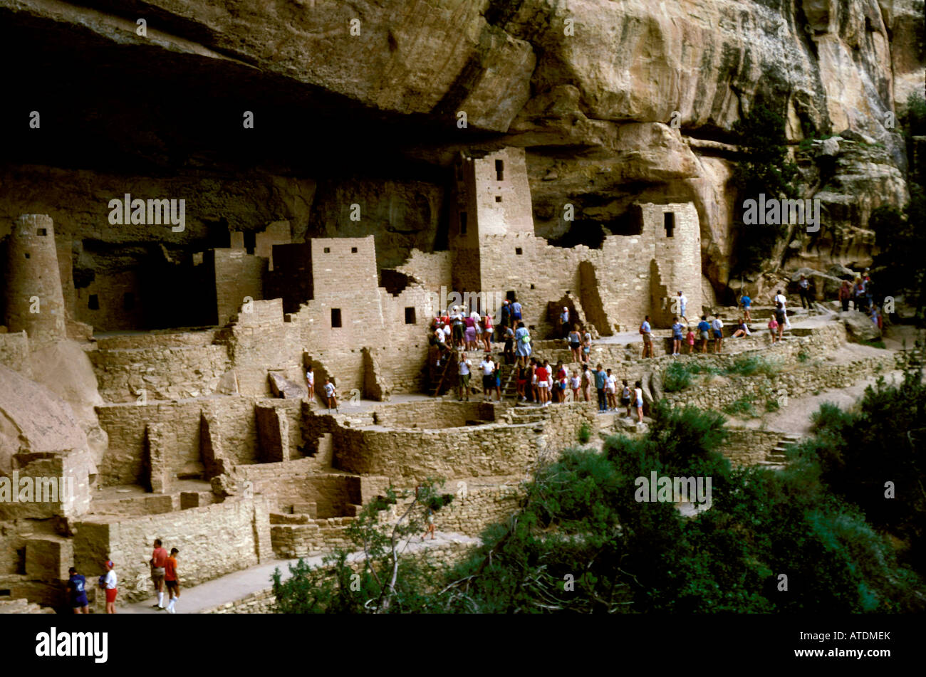 CO Colorado Mesa Verde National Park Cliff Palace anasazi cliff ...