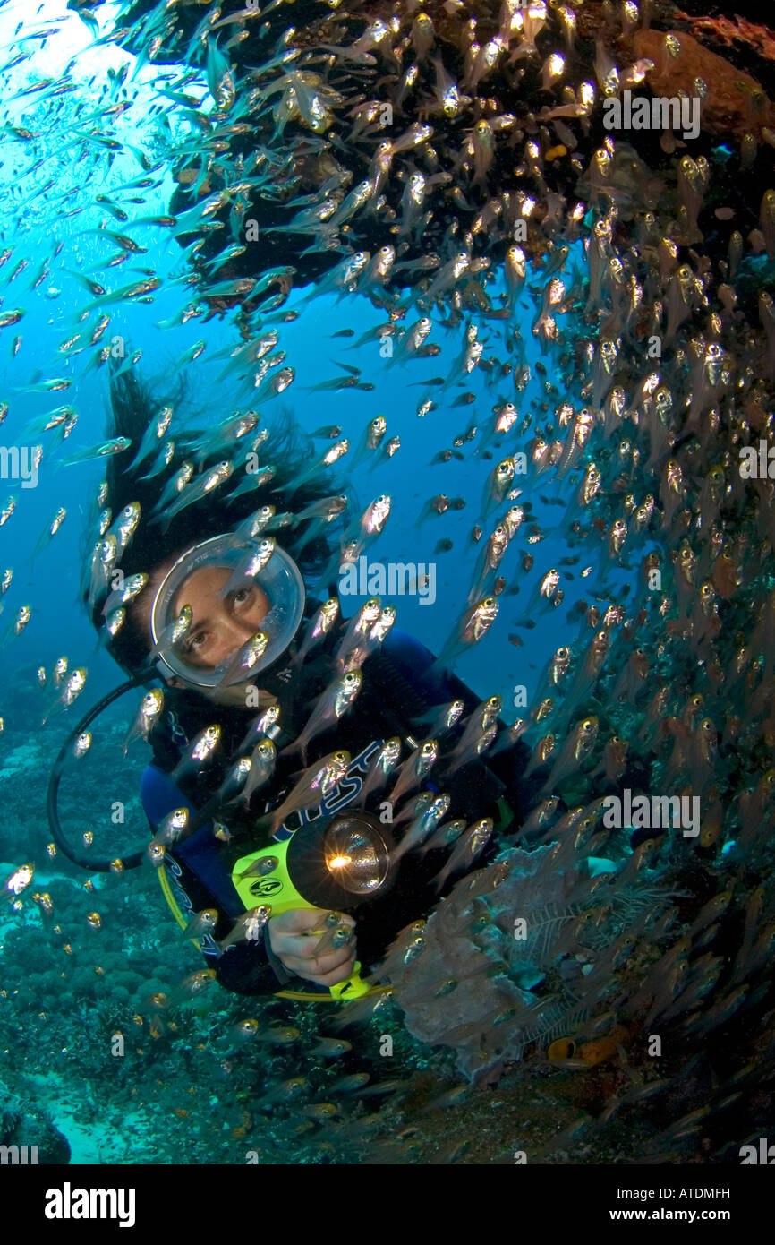 Diving in the north of Primorye. Rudnaya Bay Entry to the bucket. Continuing testing. Fishes Diving in the north of Primorye. Rudnaya Bay Entry to the bucket. Continuing testing. Fishes