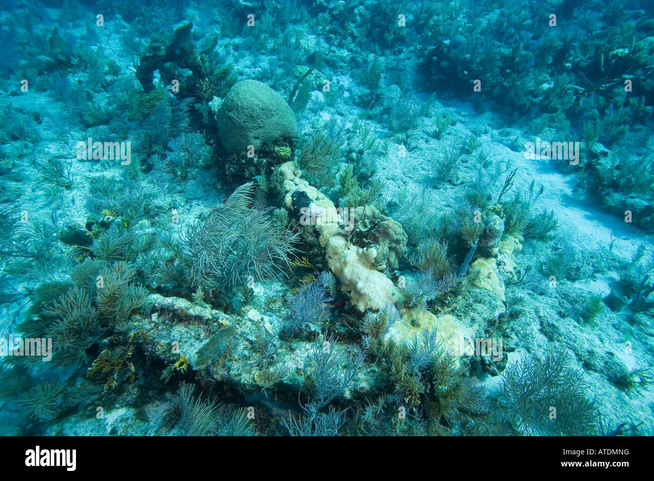 Old Spanish Anchor Key Largo Florida USA Stock Photo Alamy