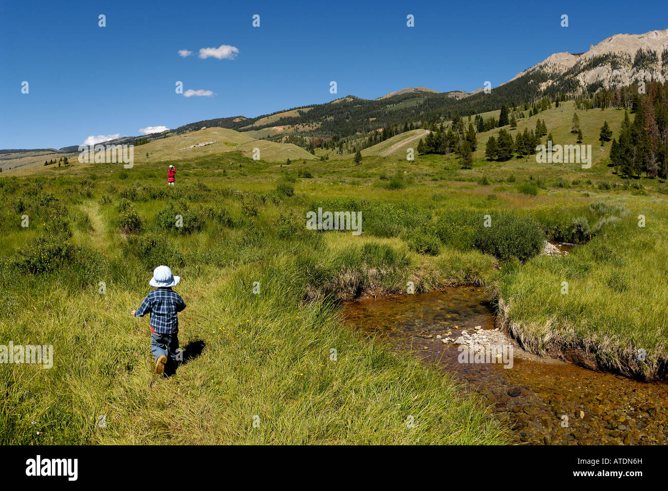 Green River Bridger Teton National Forest Wyoming Stock Photo - Alamy