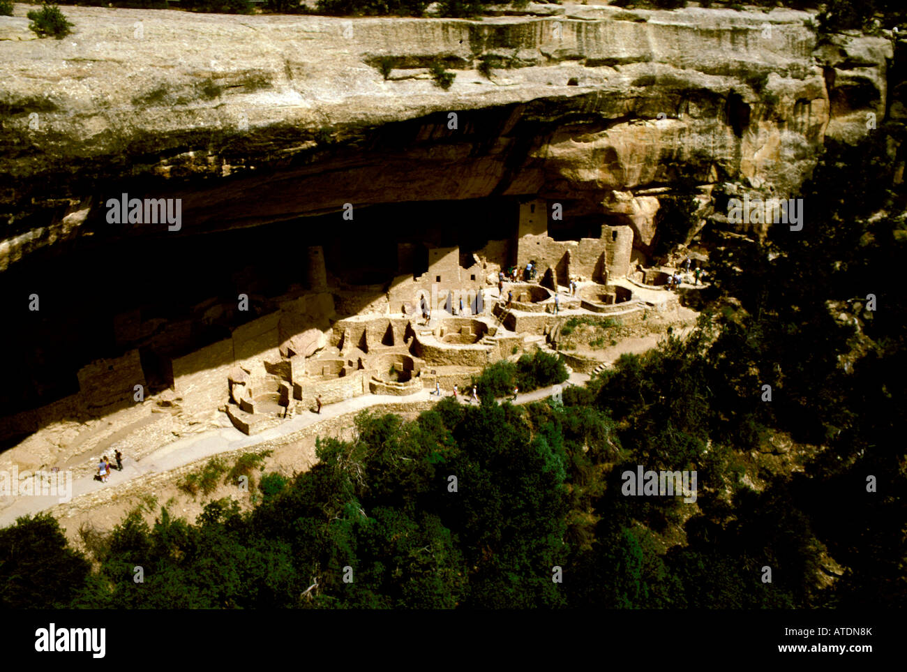 CO Colorado Mesa Verde National Park Cliff Palace anasazi cliff ...