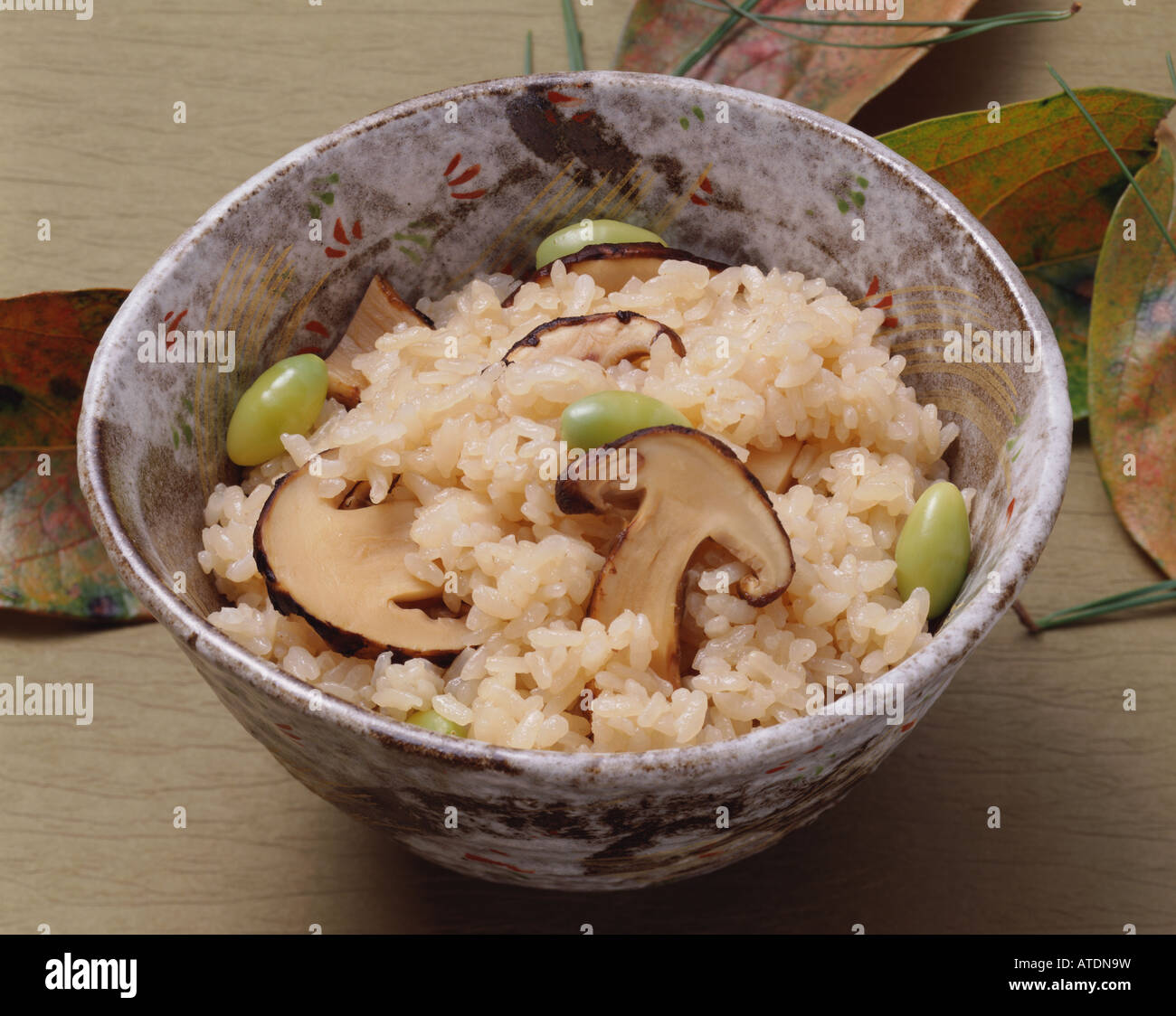 Steamed rice with matsutake mushrooms Stock Photo - Alamy