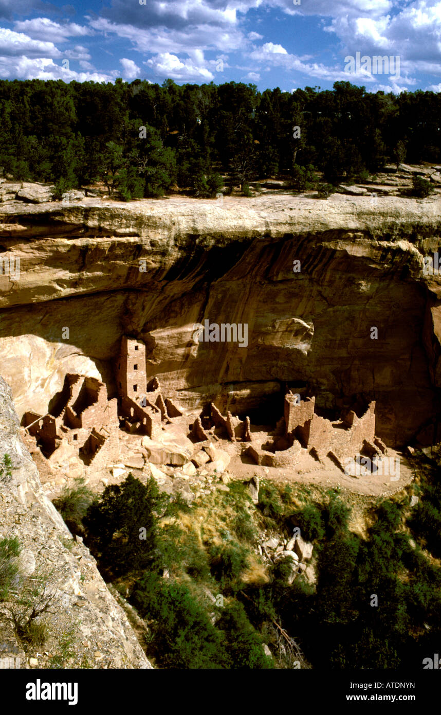 CO Colorado Mesa Verde National Park Cliff Palace Stock Photo - Alamy
