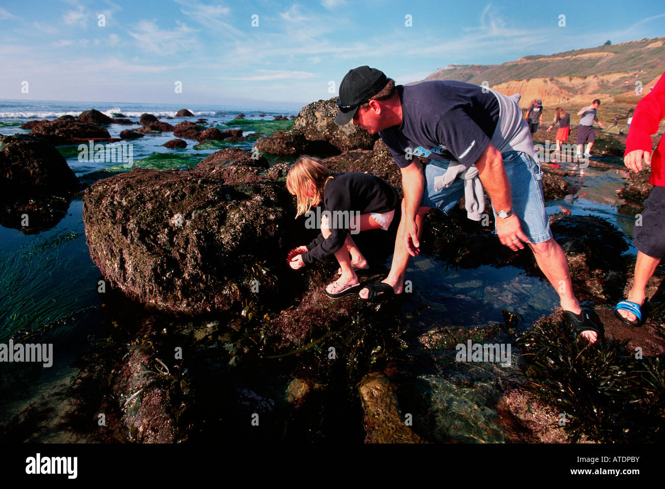 Tidepools allow people a glimpse of ocean plants and animals California  Pacific Ocean Stock Photo - Alamy